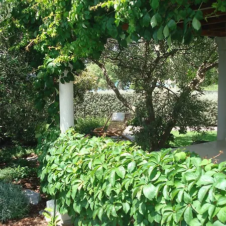 Waterfront * Kućište