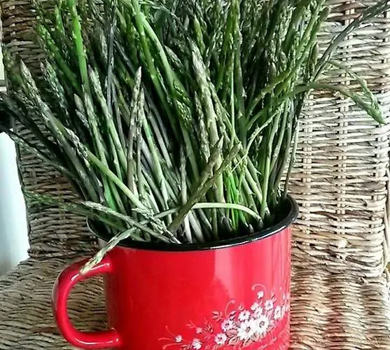 Waterfront Apartamento